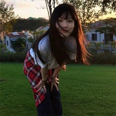 树木之城