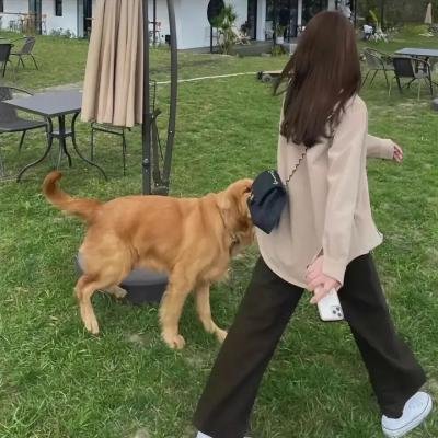 三个怪才